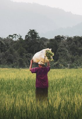 Crunchy Oat Dark Chocolate Bio